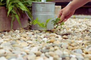 mettre du gravier dans son jardin